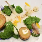 Вегетарианская Кухня – Не Только Для Изысканных Гурманов