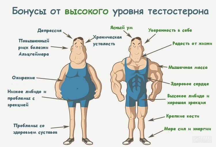 kakie-produkty-razrushajut-testosteron-2-1994650